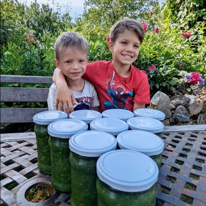 ķiploku pesto